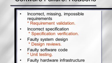 Faulty Software