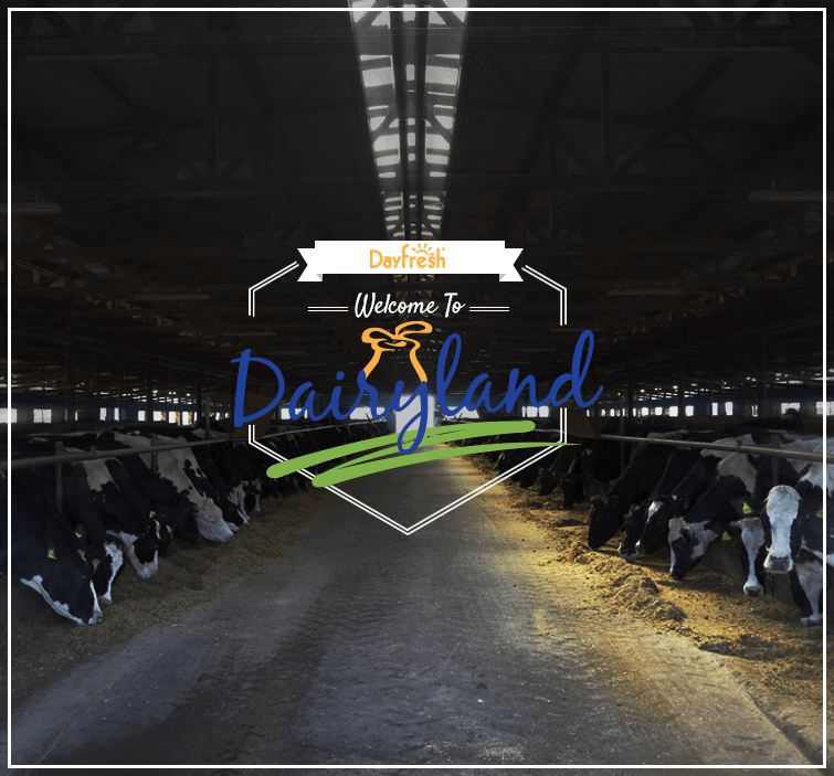 Dairyland Agent Login Easy Access to Policy Information and RealTime