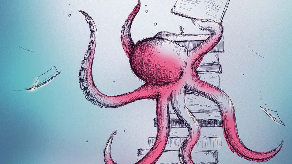 How Many Brains Does An Octopus Have? + Other Fun Facts About Octopus