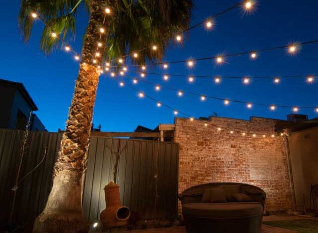 Festoon Lights