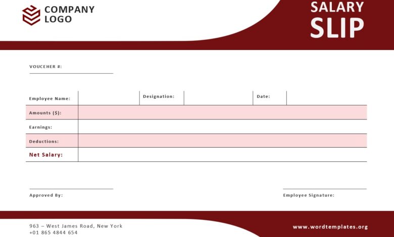 Salary Slip