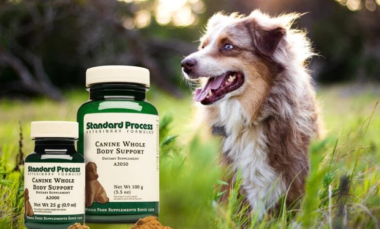 Canine Liver Support