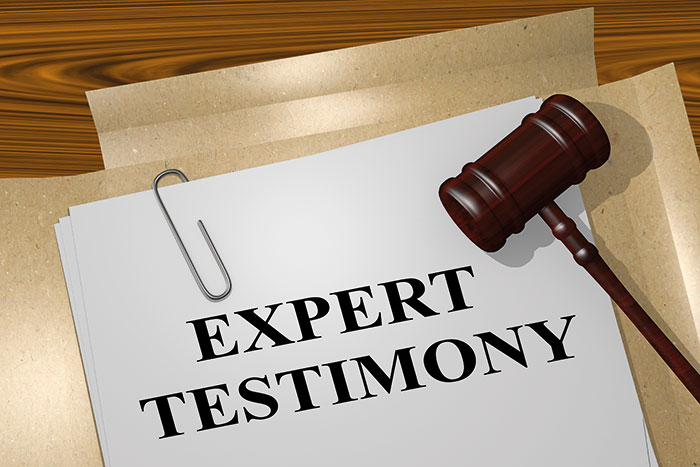 Expert Witnesses