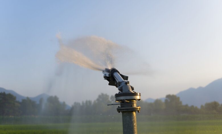 Misters and Misting Nozzles