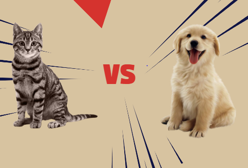 Cats vs. Dogs
