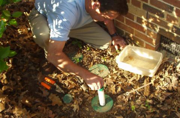 Termite Bait