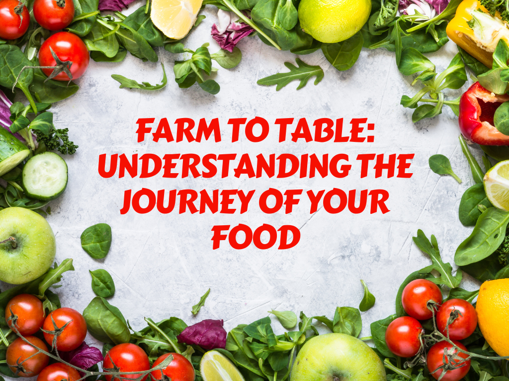 farm-to-table-understanding-the-journey-of-your-food-manometcurrent