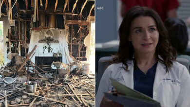 How Did Grey’s Anatomy Star ‘Caterina Scorsone’ Saved Her Daughters From Deadly House Fire