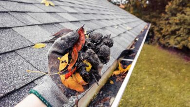 Gutter Cleaning Service