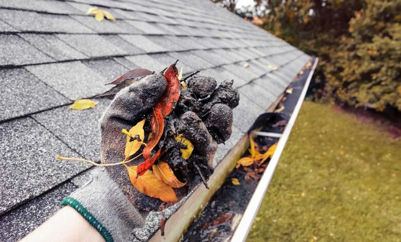 Gutter Cleaning Service