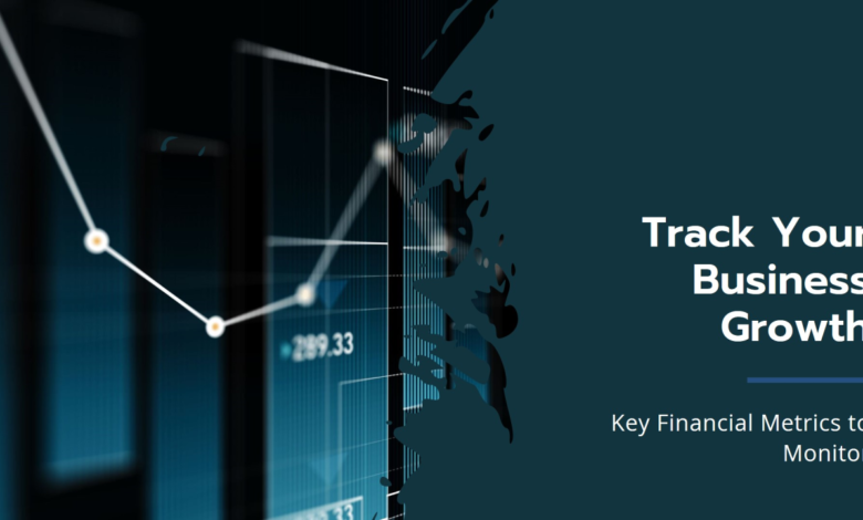 Financial Metrics