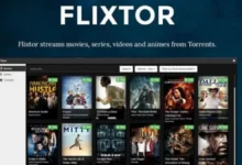 FlixTor safe