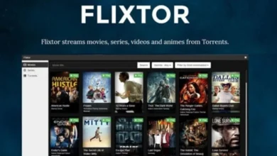 FlixTor safe