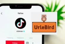 Is Urlebird Safe