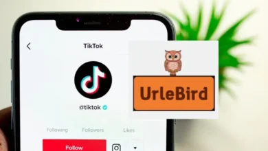 Is Urlebird Safe