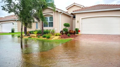 Water Damage Restoration