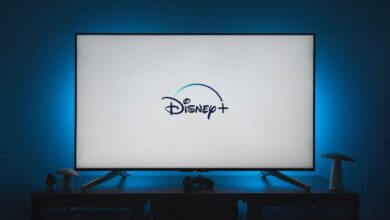 disneyplus.com loginbegin