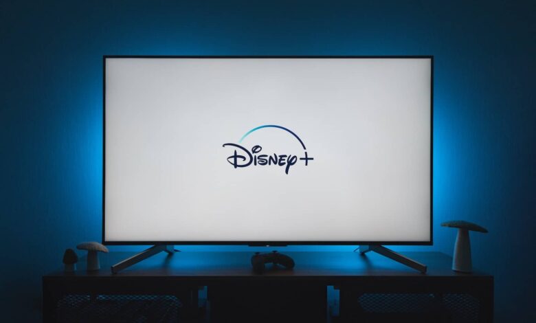 disneyplus.com loginbegin