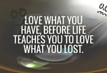 love what you have before life teaches you to love - tymoff meaning