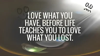 love what you have before life teaches you to love - tymoff meaning