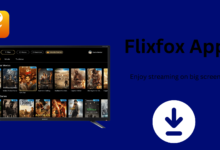 Flixfox for PC