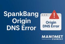 SpankBang Origin DNS Error
