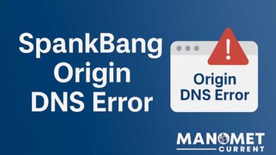 SpankBang Origin DNS Error