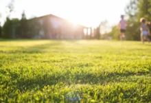 Green Spaces
