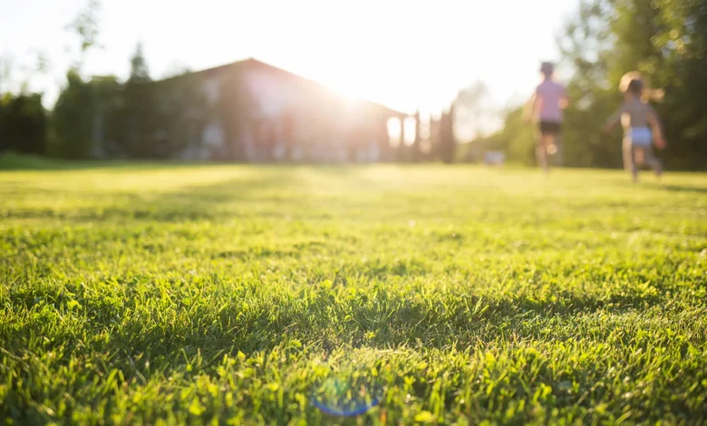 Green Spaces