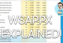 WSAPPX