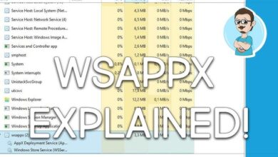 WSAPPX