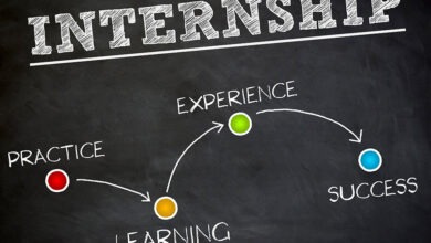 Career Development